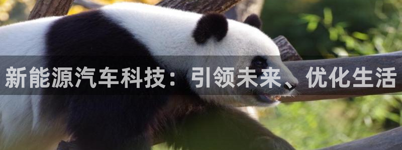 门徒娱乐在线登录:新能源汽车科技:引领未来、优化生活