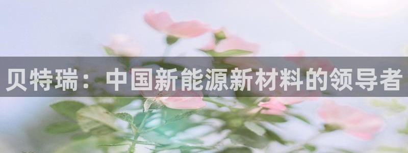 门徒娱乐处333OO:贝特瑞:中国新能源新材料的领导者