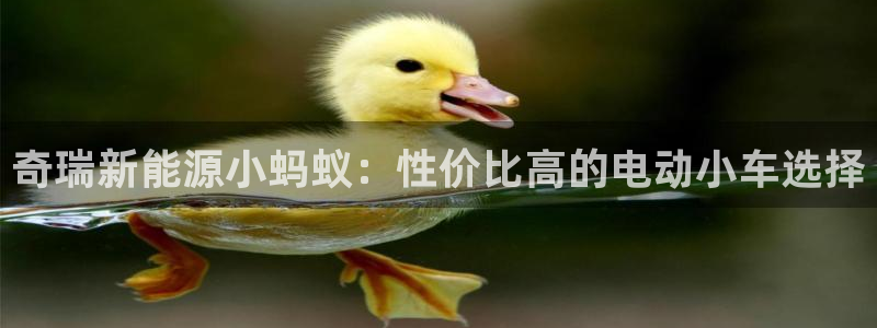 门徒娱乐怎么注册公司的:奇瑞新能源小蚂蚁:性价比高的电动小车