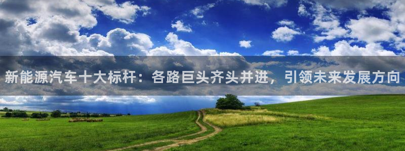 门徒娱乐线路图高清图片:新能源汽车十大标杆:各路巨头齐头并进