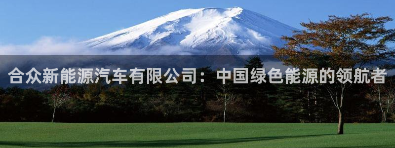 娱乐门徒百度云:合众新能源汽车有限公司:中国绿色能源的领航者