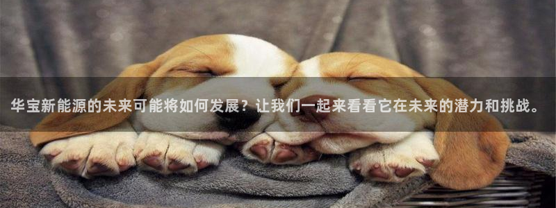 娱乐门徒好看吗