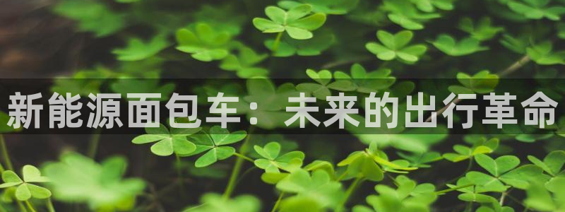门徒娱乐登录网址是什么：新能源面包车：未