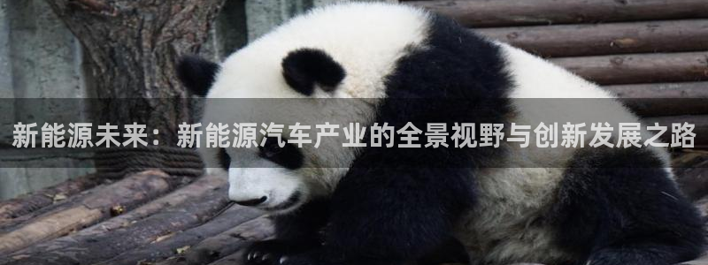 门徒娱乐会13判官3O678：新能源未来