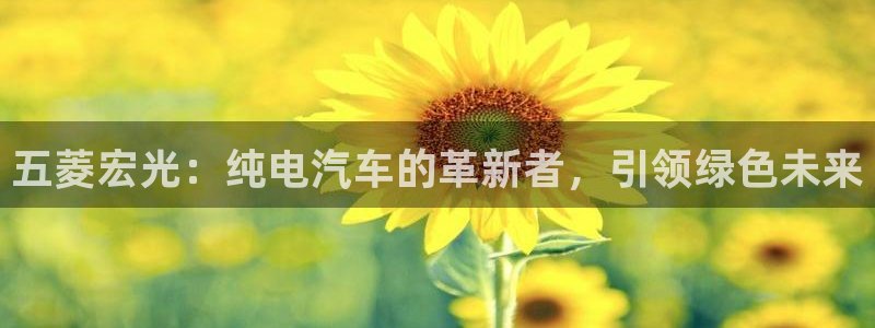 门徒娱乐登陆网站打不开：五菱宏光：纯电汽