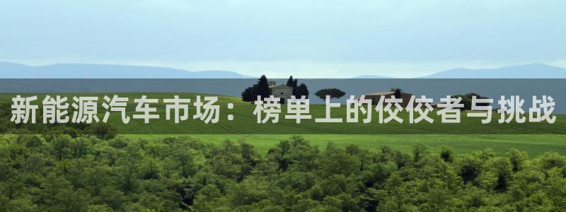 门徒娱乐筘494o3：新能源汽车市场：榜